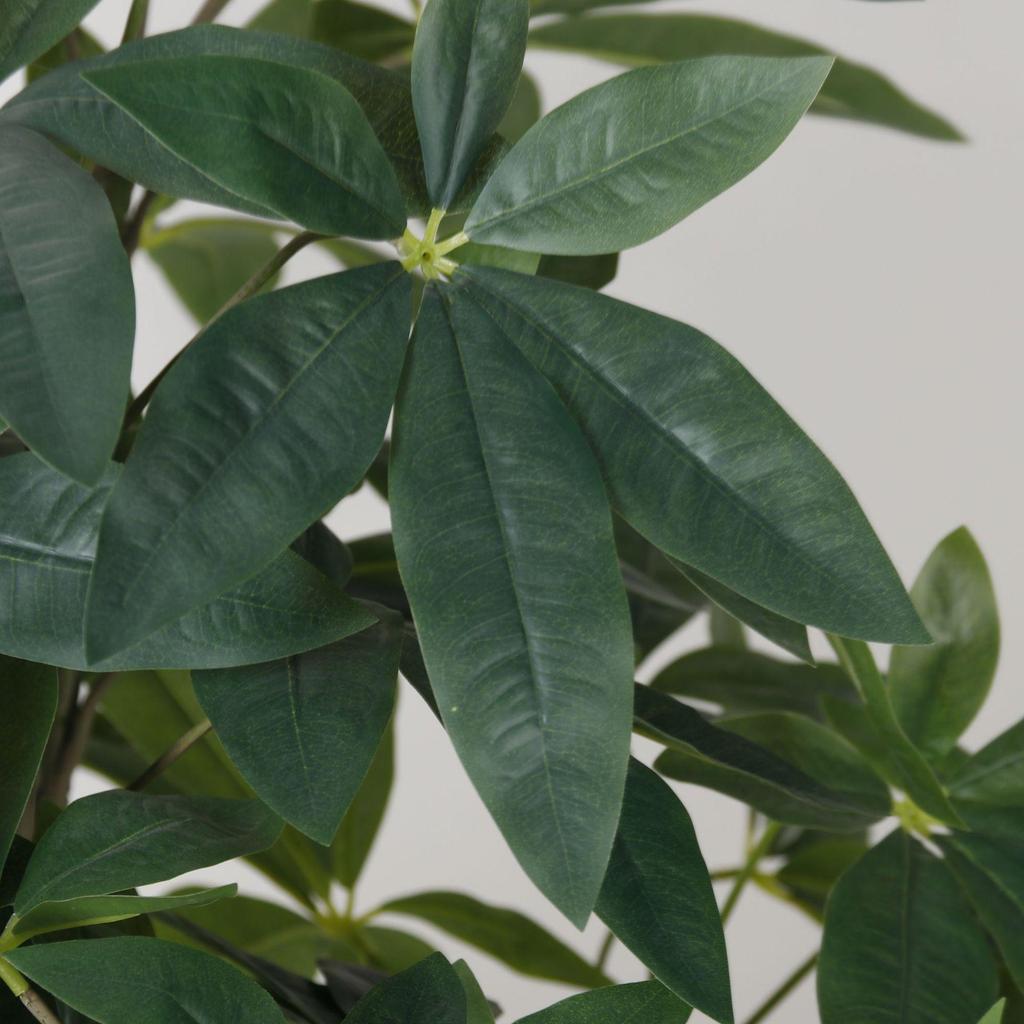 Nordic Faux Money Tree in Large Decorative Floor Pot for Living Room or Office