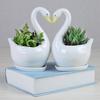 Creative White Swan Flower Pot Personalized Animal Vase Hydroponic Flower Holder  Birthday