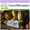 Organic - Сквош - Деликата - 6 семян - Cucurbita pepo