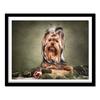 DIY Diamond Painting Cross Stitch Dog Diamond Embroidery Animal Full Round Diamond Pictures