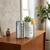 Compact Puppy Bird Ladder Planter Polyresin Open Book Flower Pot Book-Shaped Planter  Office Use