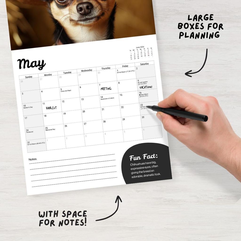 Chihuahua Calendar 2026 - Large 12 Month 2026 Wall Calendar - Month to View Dog Wall Planner Made by Fun Pets
