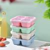 with Cover Fruit Plate Four Grid Snack Containers Reusable Candy Box  Travel
