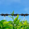 Watering System for Garden DIY Plant Kits Misting Sprinkler Greenhouse Accessories Easy Installation Irrigation Kits