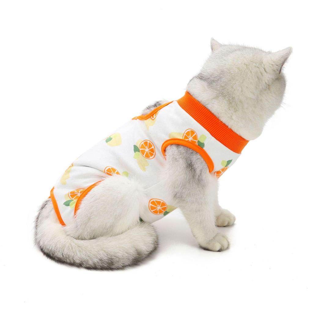 Breathable Summer Cat Spay Suit: Four-Legged, Thin, Weaning & Spay Clothes for Mother Cats