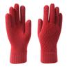Touchscreen Design Warm Knitted Gloves Plus Velvet Windproof Full Finger Gloves Solid Color Thicken Cycling gloves