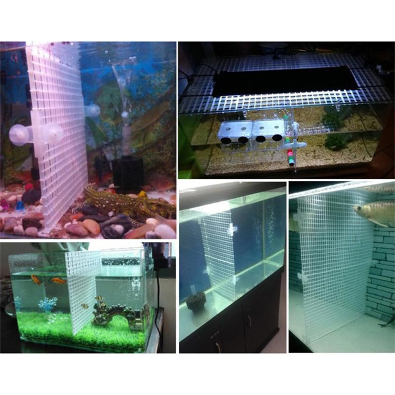 Банка для аквариумных рыбок, нижняя фильтрующая сетка, изоляционный лоток, пластина-разделитель