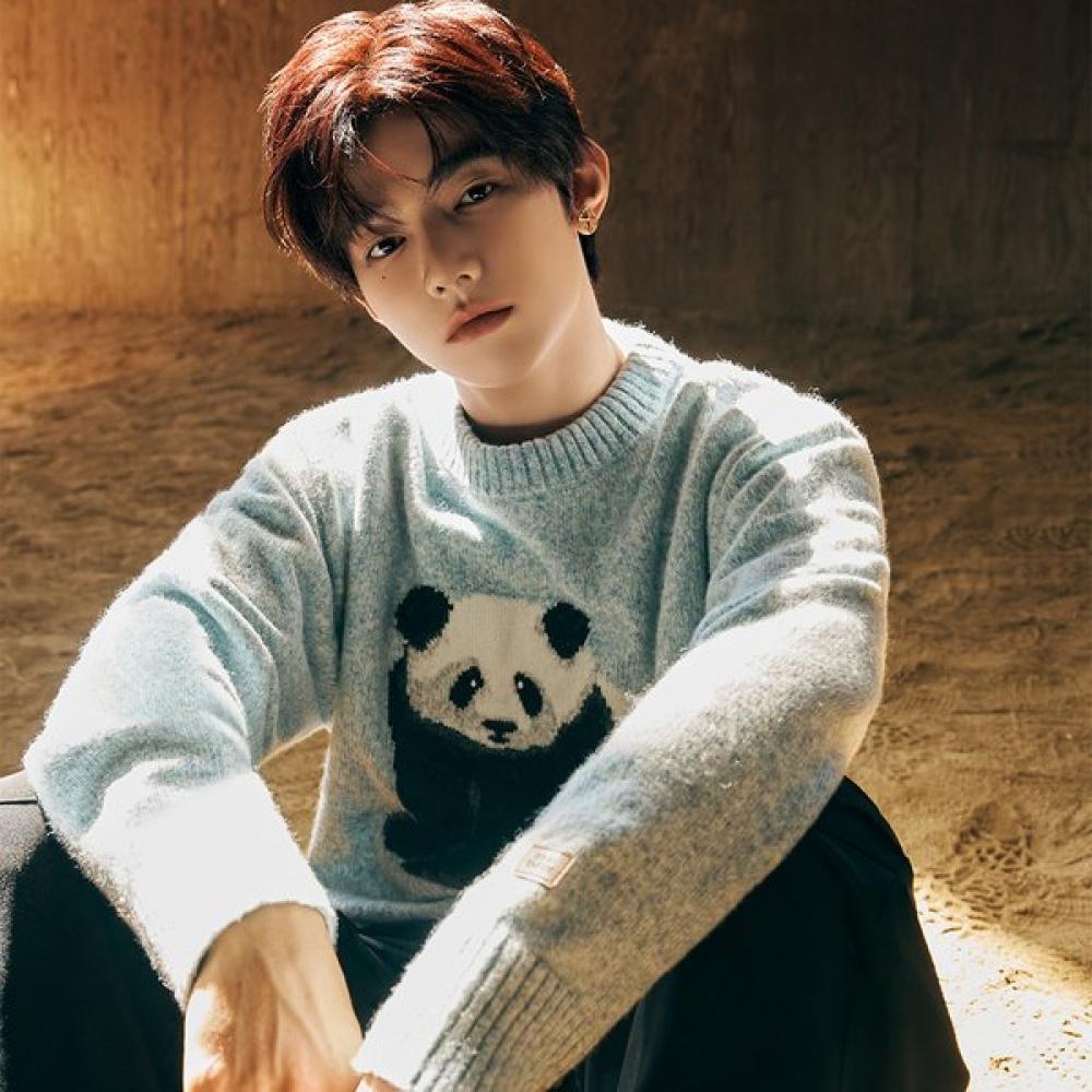 Panda Soft Sweater Light Mint Jahao Wear
