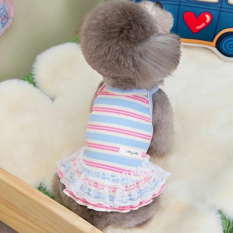 Платье для собак в полоску, летняя кружевная одежда на слинге для домашних животных, кошек, красочная юбка на подтяжках для щенков, летняя одежда для девочек, платья для собак