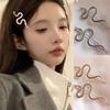 Trendy Silver Snake Hair Clip for Women - Versatile and Stylish Retro Bangs Side Pin.