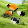 Cartoon Animal Hair Clip Acetic Acid Shark Clip Cute Acetate Cat Hair Claw  Female