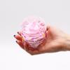 Whipped Soap Pink Lemonade 120g