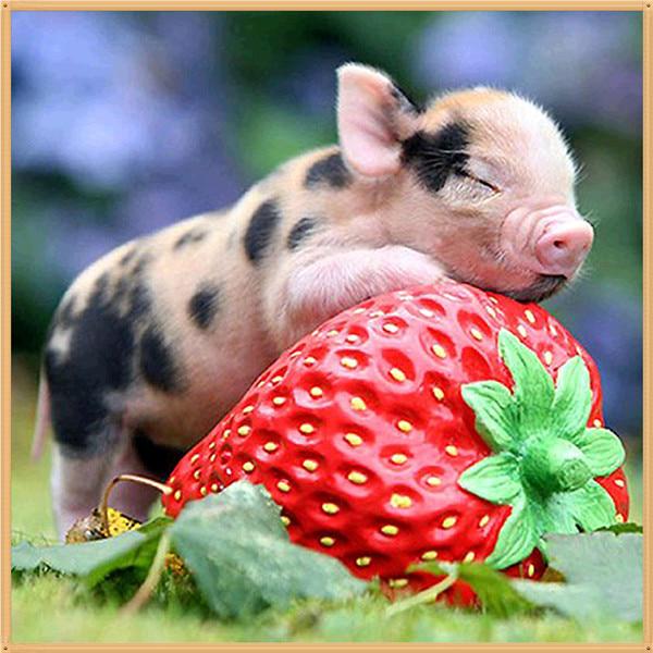 5D DIY Алмазная картина Мультфильм животных Цветок Алмазная вышивка Часть Круглый горный хрусталь Вышивка крестом