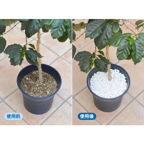 Hanagokoro Container Guard White Stone, 5L X 2 Bags