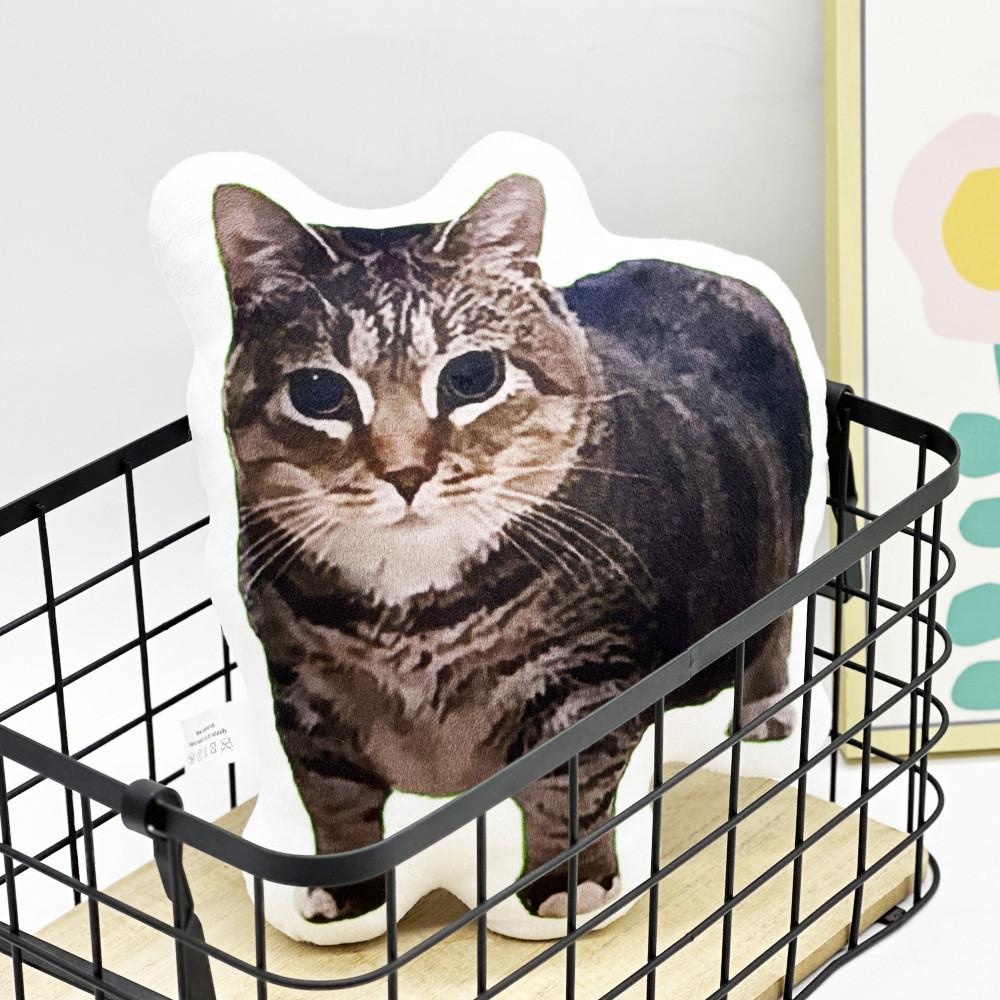 Plush Cat Animal With Pp Cotton Filling For Kids And Teens Comfort