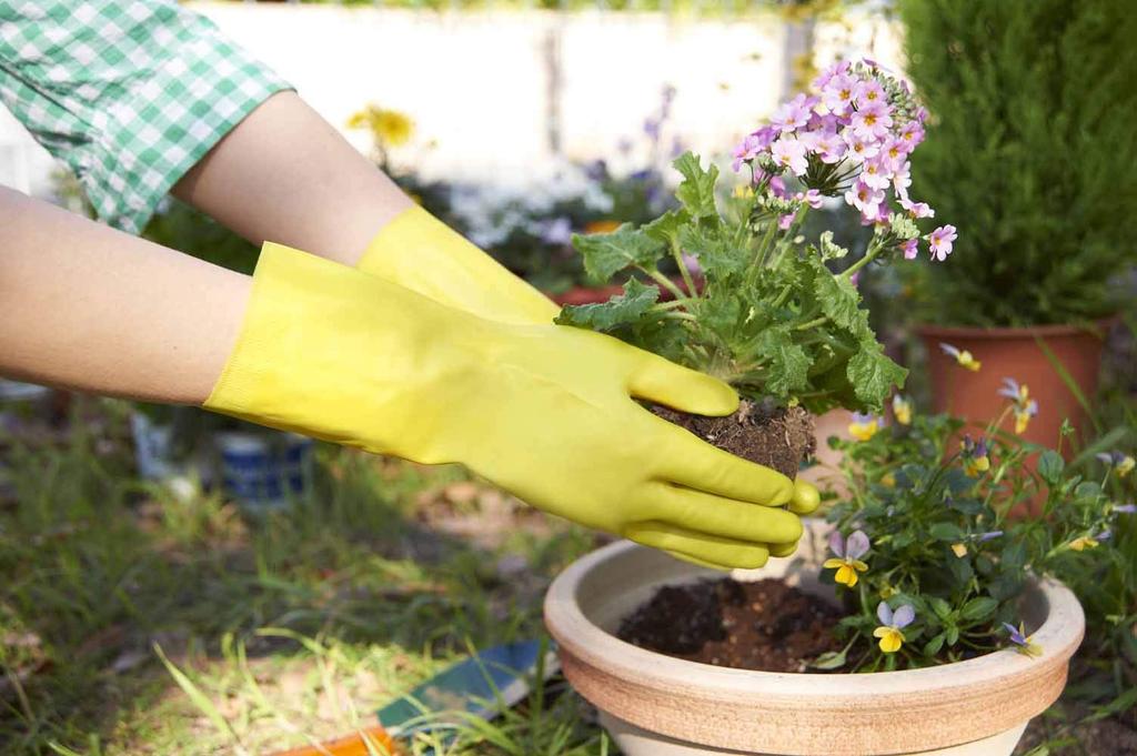 Dunlop Home Products Кухонные перчатки Натуральный каучук средней толщины Ritchine Green L Кухонные перчатки для мытья посуды Чистка Стирка Садоводство