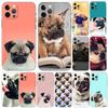 Забавный чехол для телефона с изображением собаки мопса для iPhone 5 5S 2020se 6 6s 7 8 plus x 10 XR XS 11 12 13 mini pro MAX, черная задняя крышка из ТПУ
