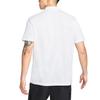 Nike Мужская белая футболка-поло Dri Fit DH0858-100