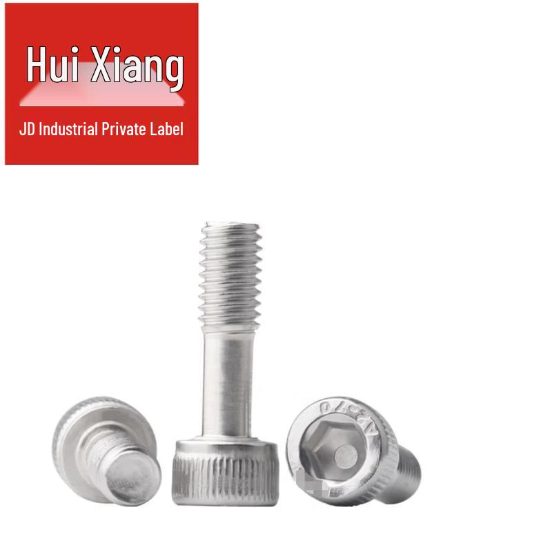 304 Stainless Steel Metric Hex Socket Captive Screw
