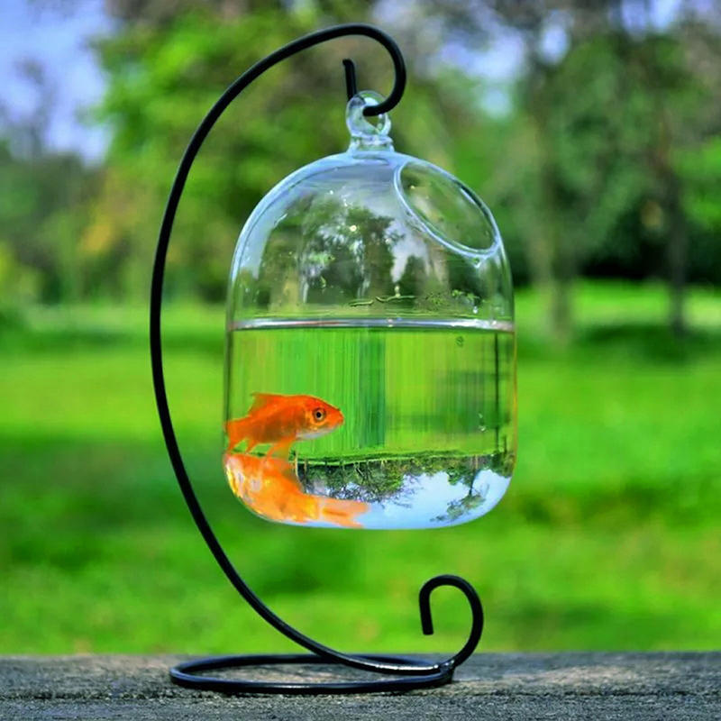 Hydroponic Wall Hanging Bubble Aquarium Fish Glass Diy Pot Vase Plant Home Decor