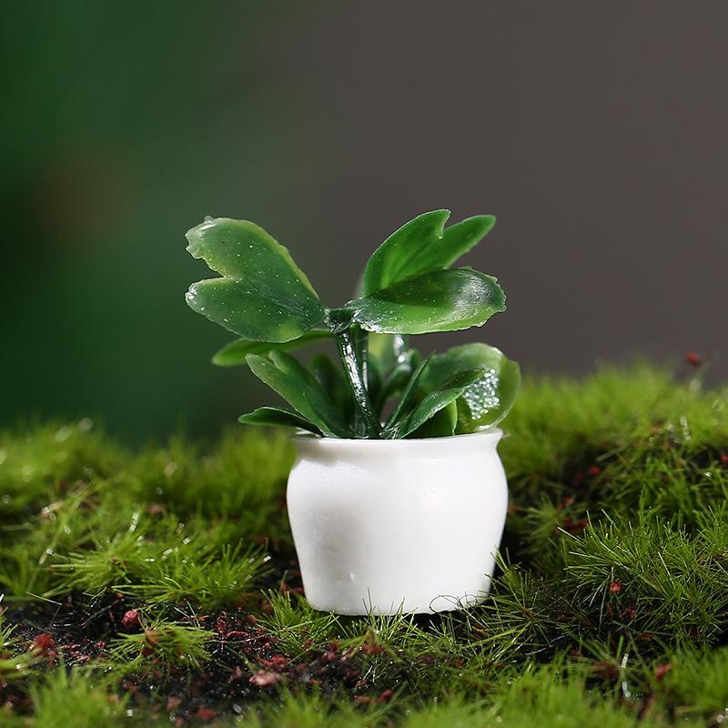 Miniature Plant Models of Simulated Potted Plants Finished Round Art Landscape Micro-landscape Ornaments