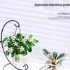 Indoor Desktop Murraya: Easy-Care Blooming Green Hydroponic Plants for Office & Living Room