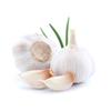 250 White Garlic Seeds - Plants Vegetables Flowers Aromatic Vegetable Garden - Reproducible Peasant Seeds - Semiwild