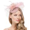 Fascinator Hats for Women 20s 50s Vintage Pillbox Hat Kentucky Derby Fascinators Flower Veil Hair Clip Wedding Tea Party Hat