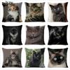 Чехол на подушку с черным котом, хлопково-льняной квадратный чехол для подушки с изображением кота, декоративная наволочка для дома, автомобиля, дивана, декоративная наволочка, cojines