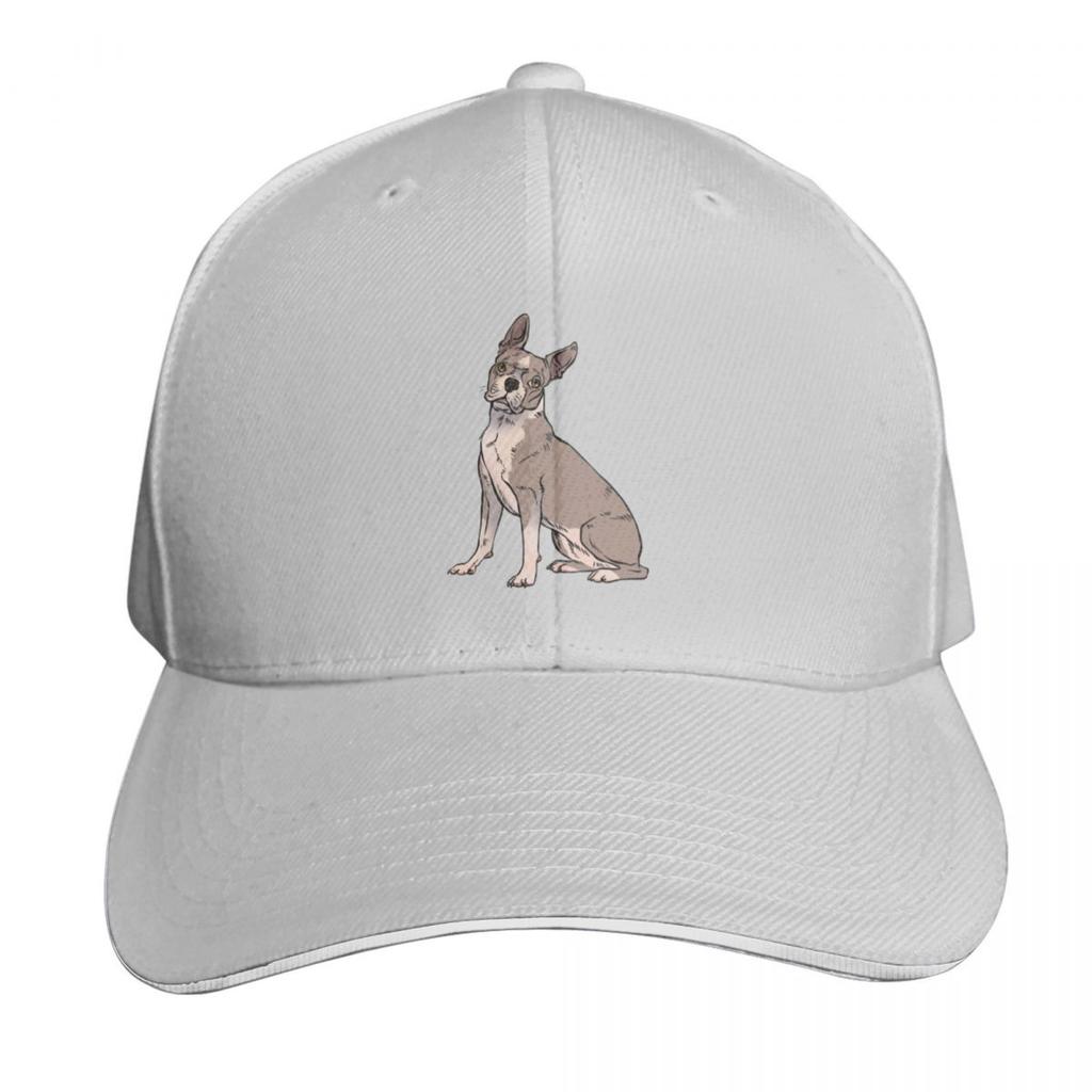Lilac Boston terrier sitting Baseball Cap derby hat Funny hats F Snap Back Hat Unisex Hats Womens
