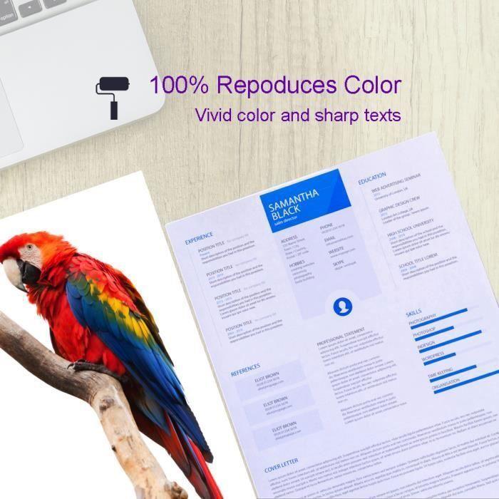 Bada Cartouches d'encre compatibles Epson 502XL 502 pour Epson WF-2860DWF WF-2865DWF XP-5100 XP-5105