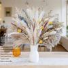 Preserved Rabbit Tail Grass Bouquet - DIY Dried Flower Decoration with Pampas Grass