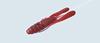 EVERGREEN Worm Edge Breaker 3,6 дюйма #99 Секретная расцветка