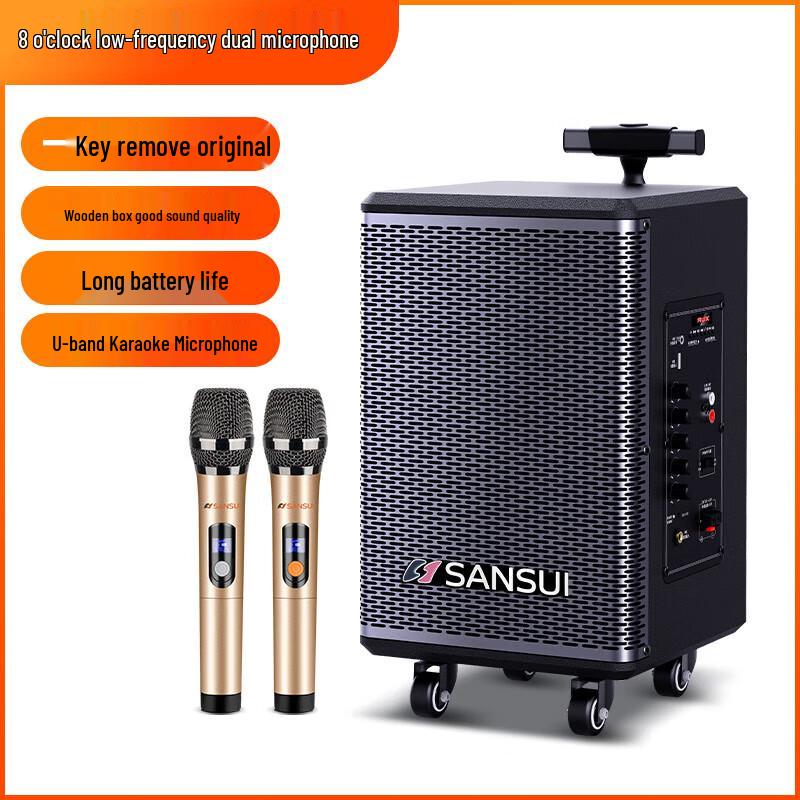 Sansui TE06 8-inch Portable Trolley Karaoke Speaker with Wireless Mic