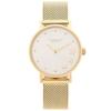 Coach Women's Watch 14503521 28mm Gold