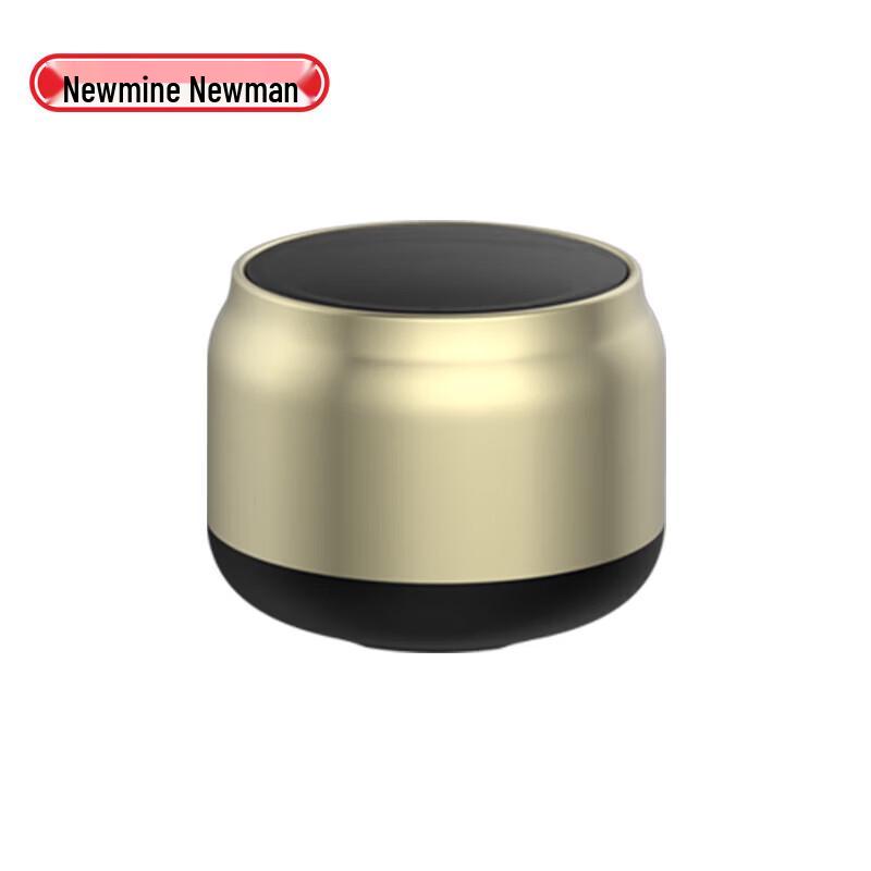 Портативная Bluetooth-колонка Newmine BT31, штекер CN (адаптер в комплекте) (Китайская версия)
