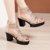 Women Summer Lace Mesh Shoes Fish Mouth High Heel Ladys Platform Sandals Evening Dress Wedding Shoes