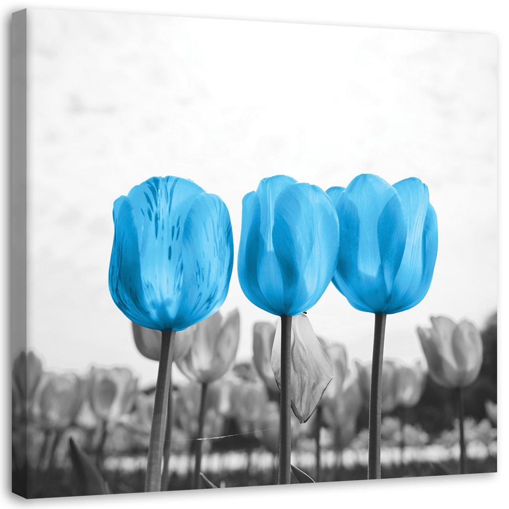 Canvas print, Blue tulips in a meadow
