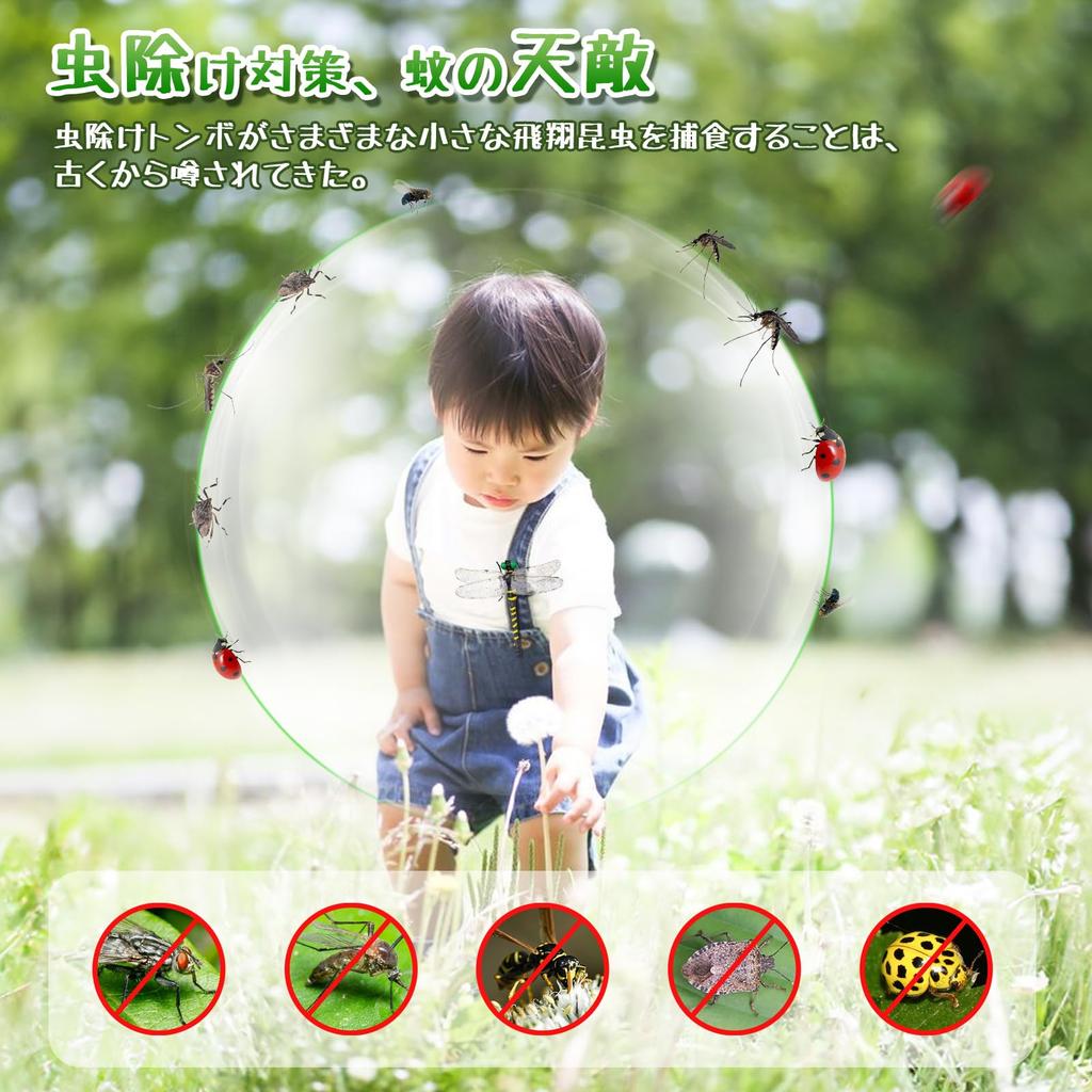 Dragonfly Authentic Product Almost Same As the Real Insect Animal Dragonfly Pendant PVC Mobile Phone Pendant Mobile Phone Decoration Fishing Balcony