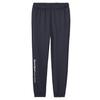 Длинные брюки Descente Light Smooth Sweatshirt Tapered Jogger Брюки Stretch Training Running M [Move Sports] NV00(ST4FPZ41M)