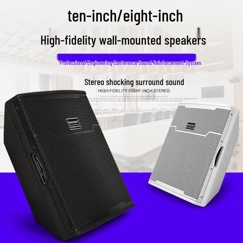 KAXISAIER Commercial 10-inch Wall-Mounted Speaker N10