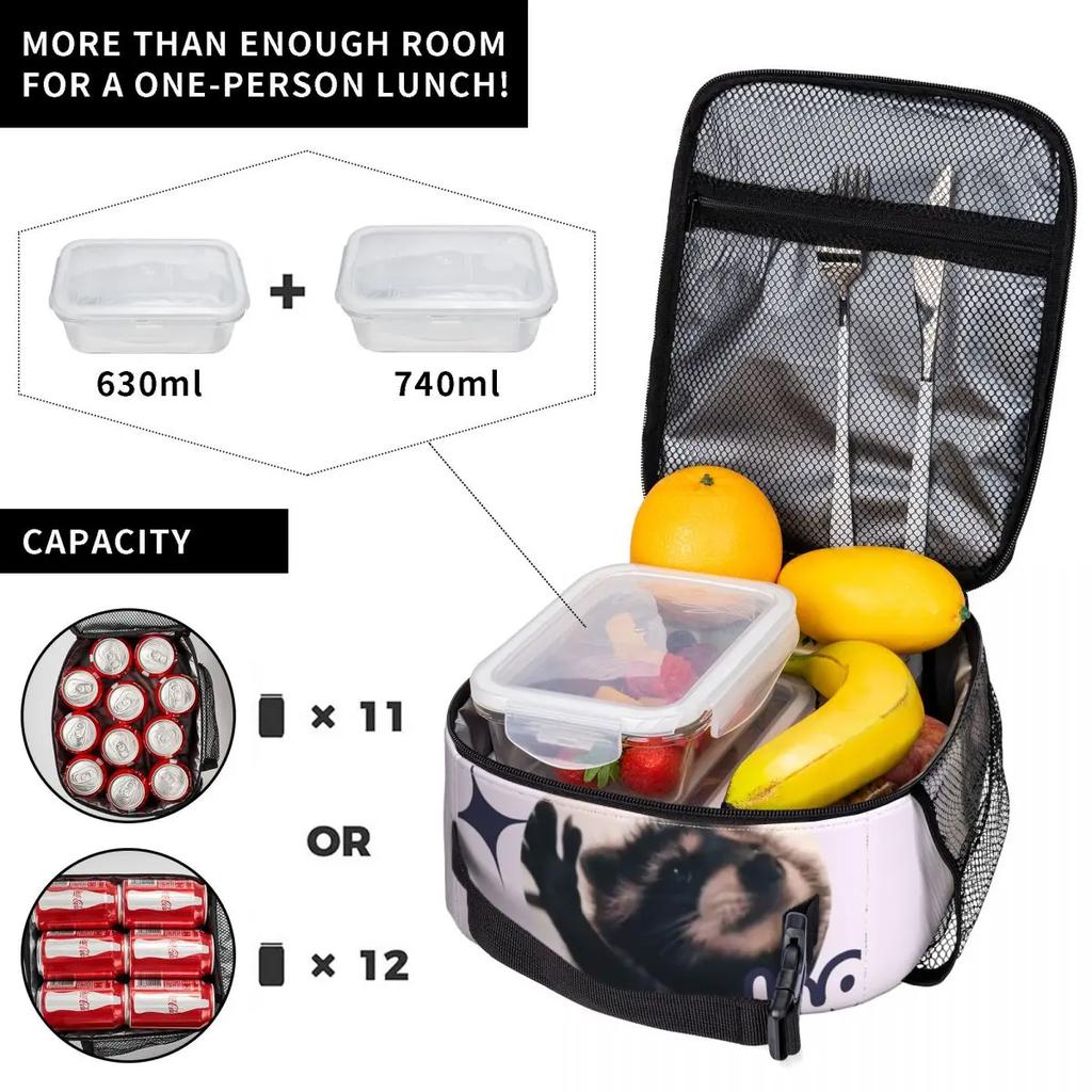 Изолированные ланч-боксы Танцующий енот Педро Мерч Забавный ланч-бокс с животными Новое поступление Термоохладитель Bento Box Для пикника