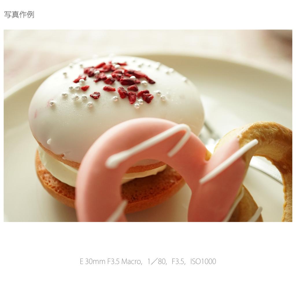 Sony Single Focus Lens E 30mm Macro for Sony E Mount Only SEL30M35 F3.5 APS-C