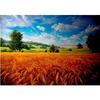 5D DIY Алмазная картина Пейзаж Серия Полный круглый Алмазная вышивка Крестом