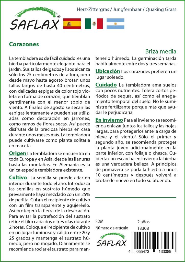 SAFLAX Трава трясущаяся - 75 семян - Бриза медиа
