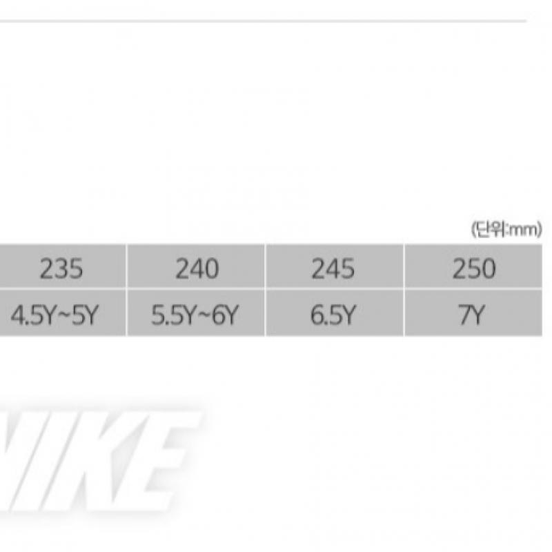 Nike Renew Run 2 Cw3259 005