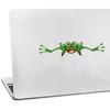 Decorative Green Frog Stickers, Vinyl material, suitable for decorating car bodies, trucks, off-road vehicles, windows, rear windshield, helmets,