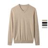 Men's 100 Cashmere Sweaters Soft Warm V-Neck Casual Pullovers