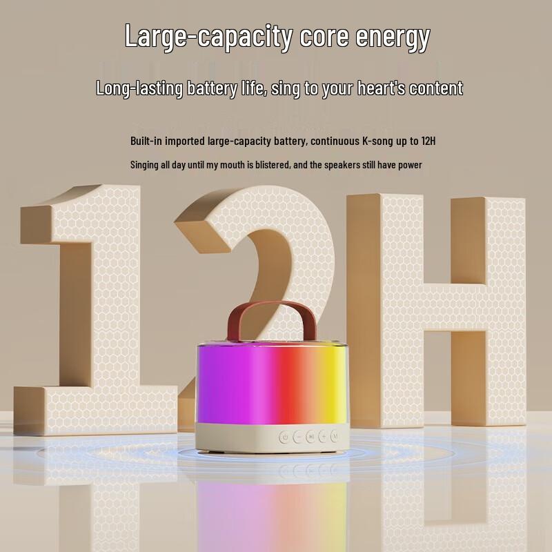 Shanshui V1 Wireless Bluetooth Karaoke Speaker Set