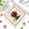 Small Retro Cube Glass Greenhouse for Preserved Flowers and Succulents